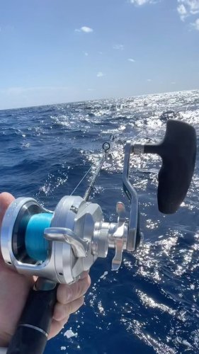 Video post from ejs_fishing_charters.
