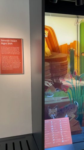 Video post from visittucson.