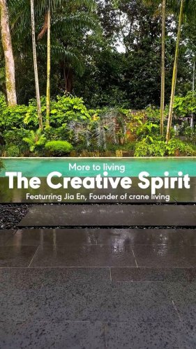 Video post from crane_living.