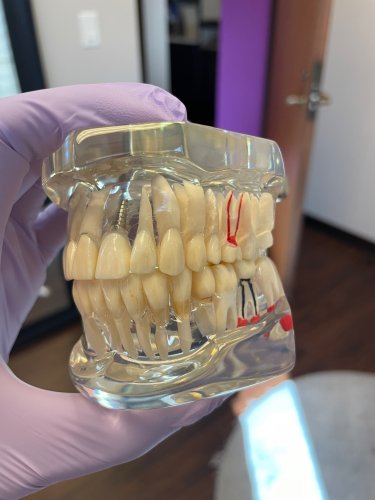 Photo post from trilliumdental.
