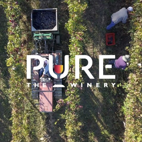 Photo post from purethewinery.