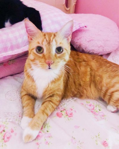 Carousel post from margaritabloom.