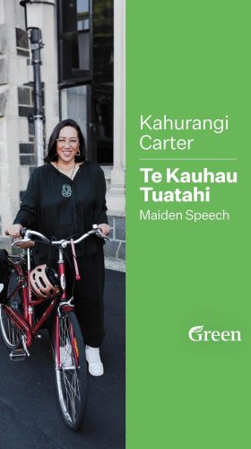 Video post from nzgreenparty.