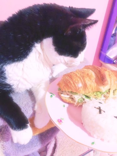 Photo post from margaritabloom.