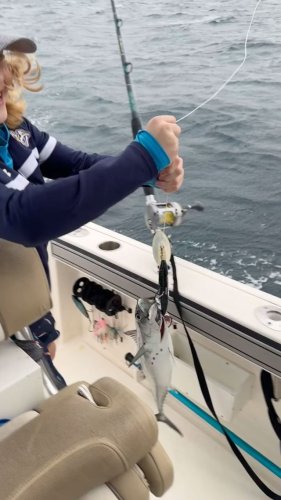 Video post from ejs_fishing_charters.