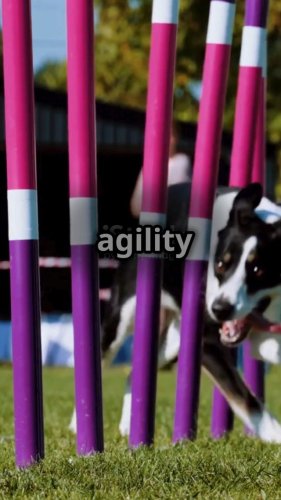 Video post from kasarstays.