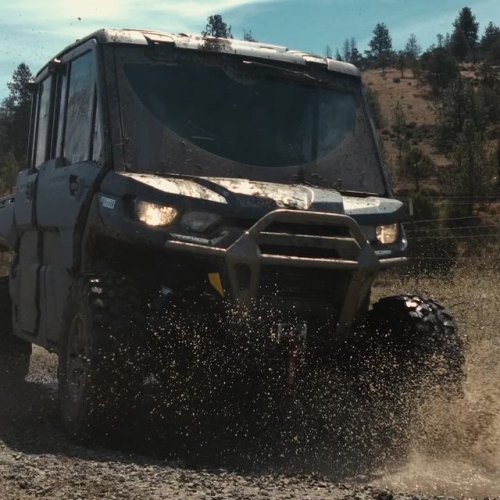 Video post from bertsmegamall.