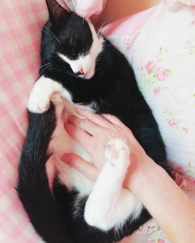 Photo post from margaritabloom.