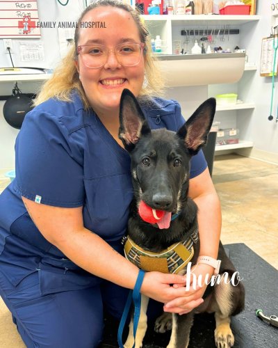 Photo post from familyanimalhospitalcm.