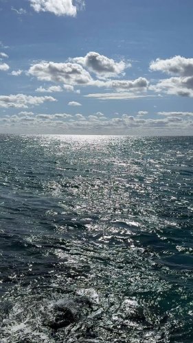 Video post from ejs_fishing_charters.
