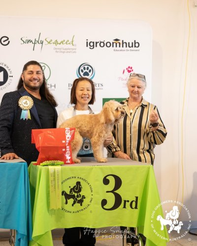 Carousel post from k9playtimedoggydaycare.