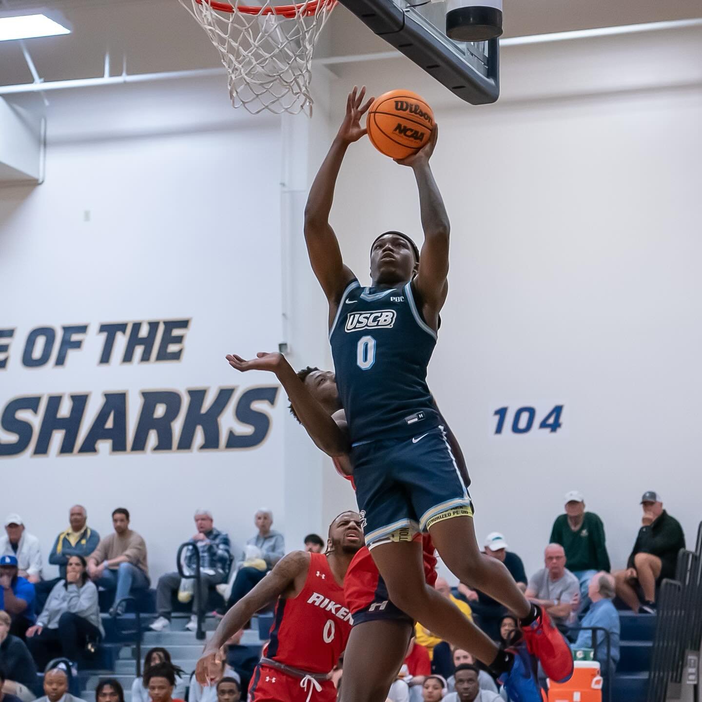 Photo post from uscbsandsharks.