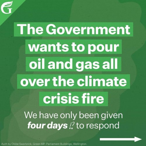 Carousel post from nzgreenparty.