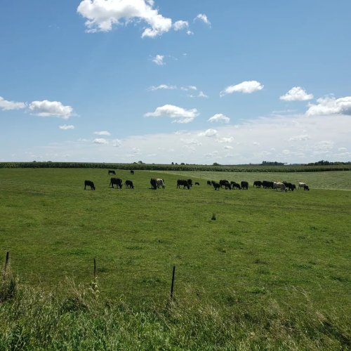 Carousel post from jeffreysimoneau.