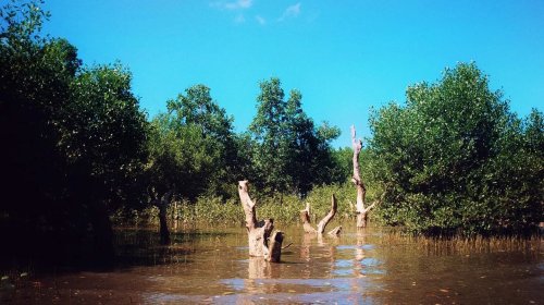 Carousel post from jakbobby.