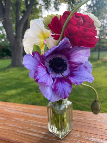 Photo post from trilliumdental.
