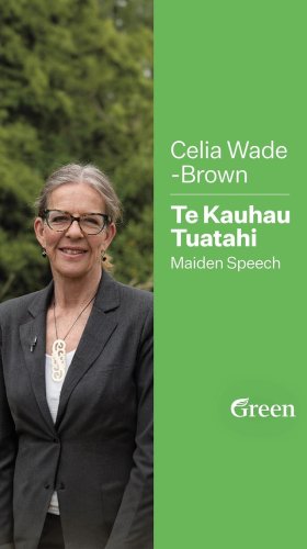 Video post from nzgreenparty.