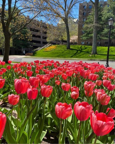 Photo post from bostoncollege.