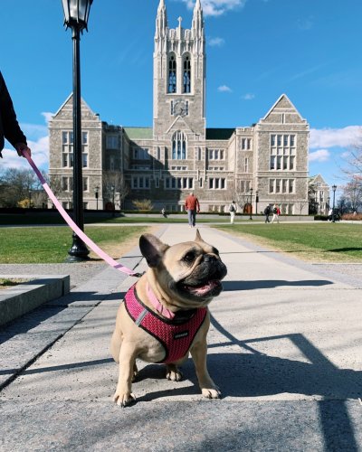 Photo post from bostoncollege.