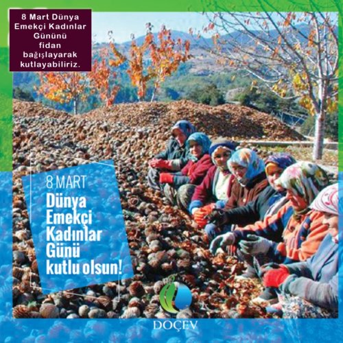 Photo post from dogavecevrevakfi.