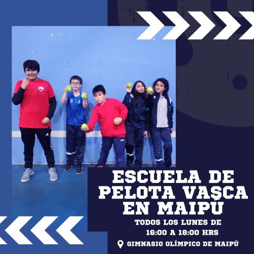 Photo post from pelotavascachile.