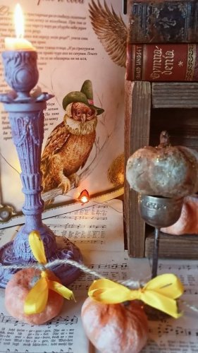Video post from oljaidevetpaunica.