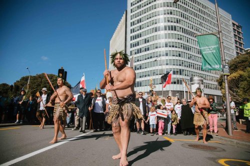 Carousel post from nzgreenparty.