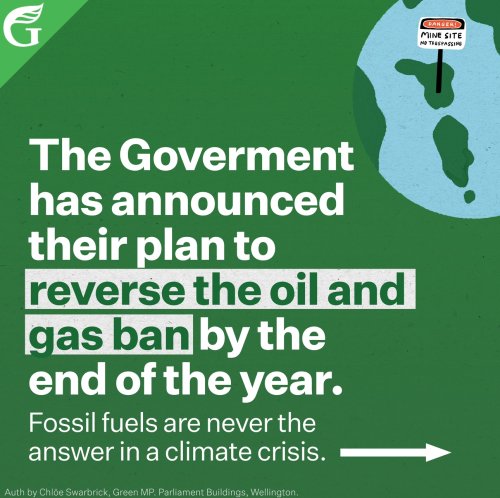 Carousel post from nzgreenparty.