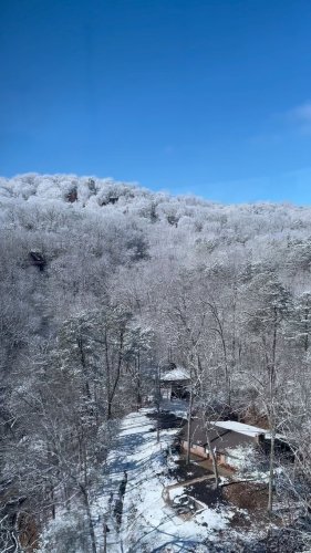 Video post from svens_retreat.