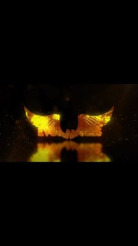 Video post from mehmetenliogluofficial.