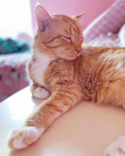 Photo post from margaritabloom.