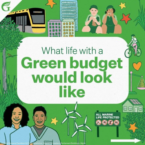 Carousel post from nzgreenparty.