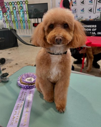 Carousel post from k9playtimedoggydaycare.