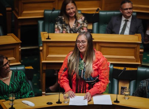 Carousel post from nzgreenparty.