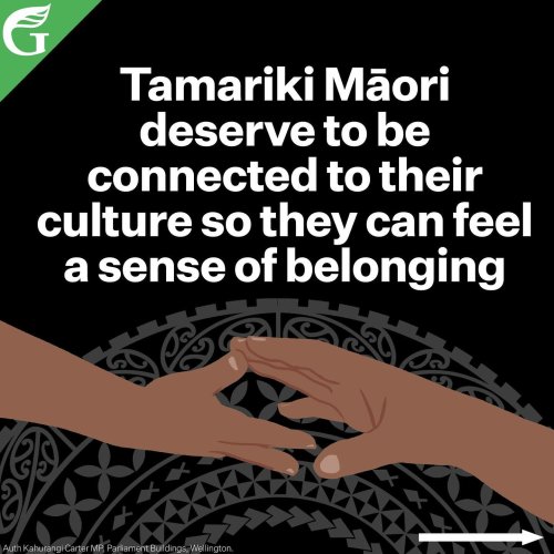 Carousel post from nzgreenparty.