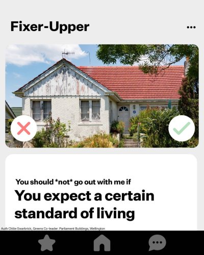 Carousel post from nzgreenparty.