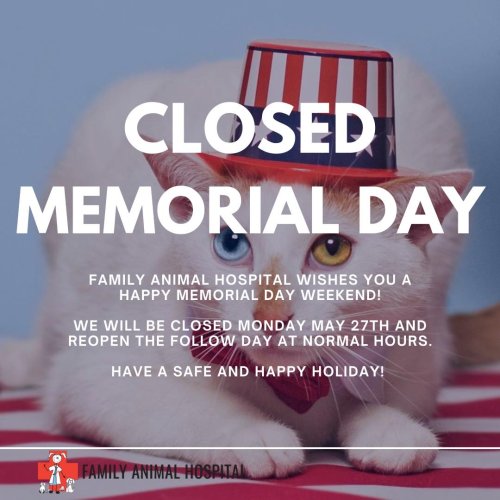 Photo post from familyanimalhospitalcm.