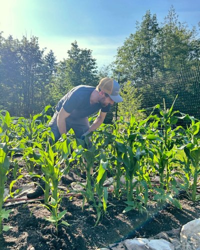 Photo post from hungryhollowfarm.