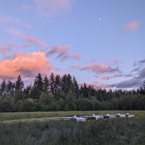 Photo post from hungryhollowfarm.