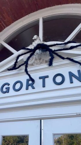 Video post from gortoncenterlf.