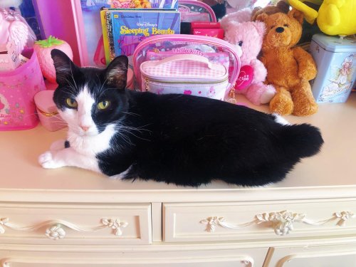 Photo post from margaritabloom.