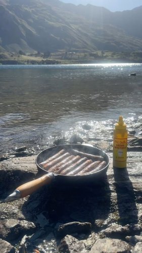 Video post from oldyellamustard.