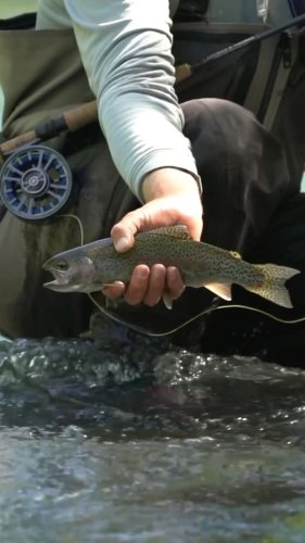 Video post from confluenceoutfitters.