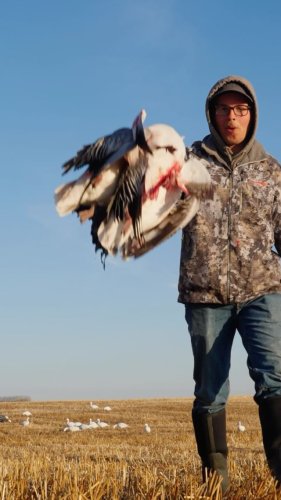 Video post from northernskiesoutfitters.