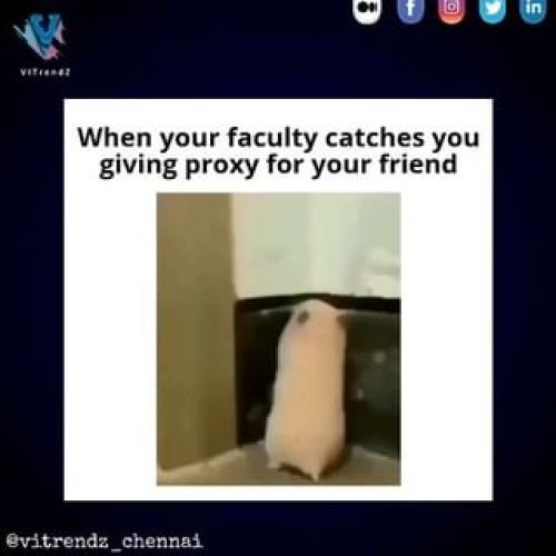 Video post from vitrendz_chennai.