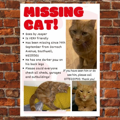 Photo post from bramleynewspaper.