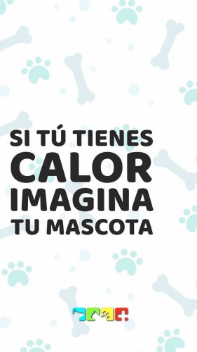 Video post from medicalpettj.