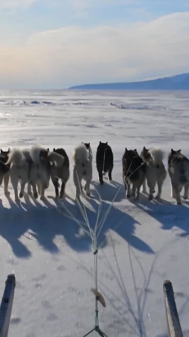 Video post from roythomsonhall.