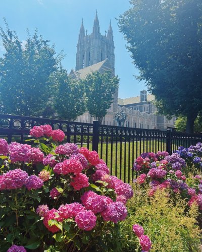 Photo post from bostoncollege.