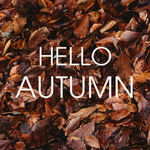 Carousel post from hotelvaratruro.